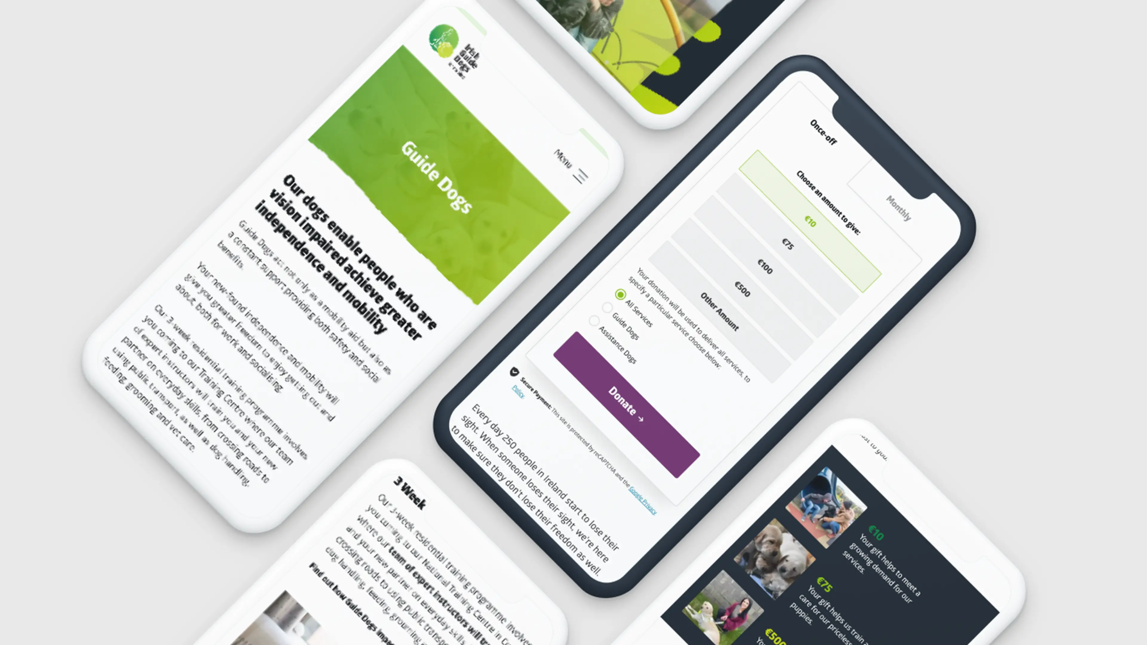 Building a custom website that increased donations to Irish Guide Dogs
