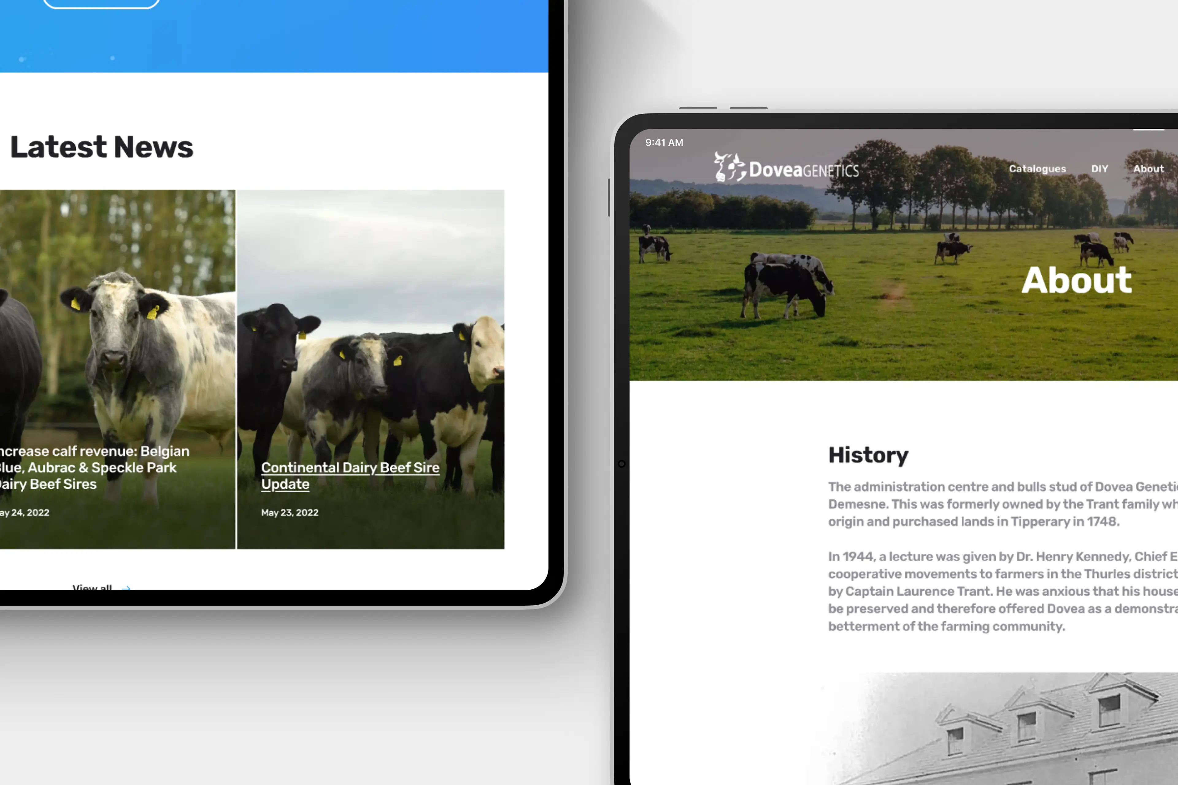 Top Performing Websites from Ireland's Leading Digital Agency.